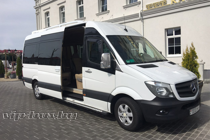 VIP minibus + chauffeur service hire minibus with driver